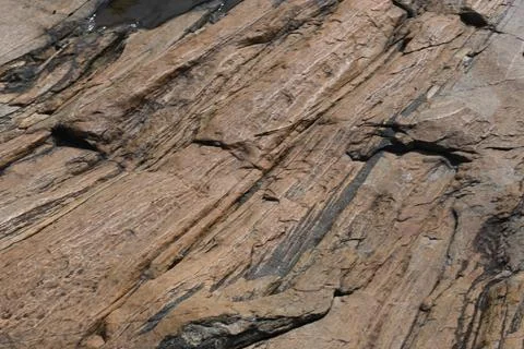 Water has collected on the rock's surface. Stock Photos