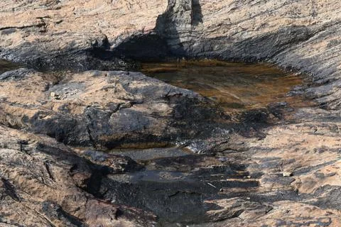 Water has collected on the rock's surface. Stock Photos