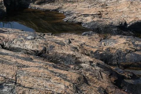 Water has collected on the rock's surface. Stock Photos
