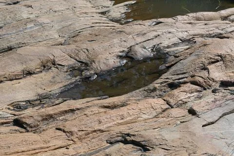 Water has collected on the rock's surface. Stock Photos