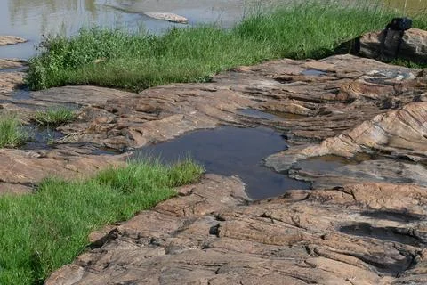 Water has collected on the rock's surface. Stock Photos