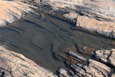 Water has collected on the rock's surface. Stock Photos