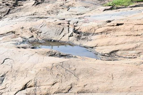 Water has collected on the rock's surface. Stock Photos
