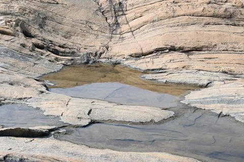 Water has collected on the rock's surface. Stock Photos