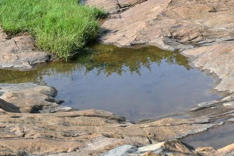 Water has collected on the rock's surface. Stock Photos