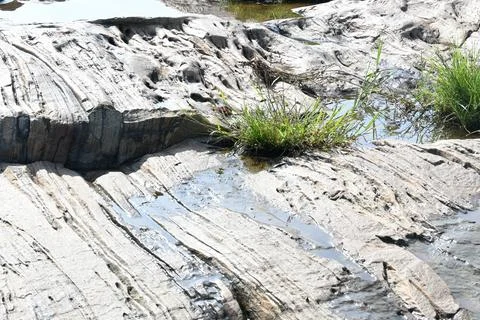 Water has collected on the rock's surface. Stock Photos