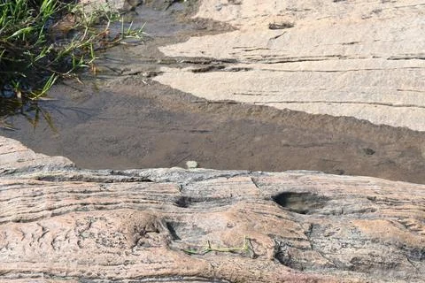 Water has collected on the rock's surface. Stock Photos