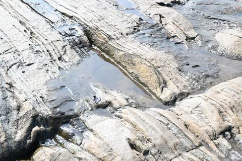 Water has collected on the rock's surface. Stock Photos