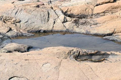 Water has collected on the rock's surface. Stock Photos