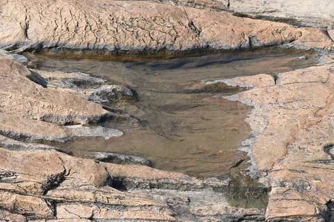 Water has collected on the rock's surface. Stock Photos