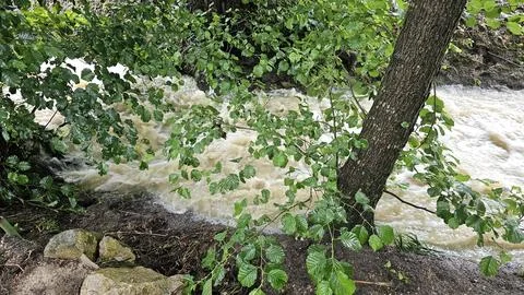 The water has risen in the stream Stock Photos