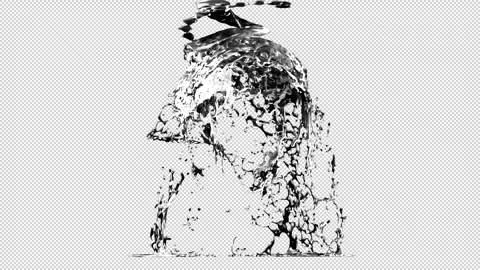 Water Head splash animation Stock Footage 334916517
