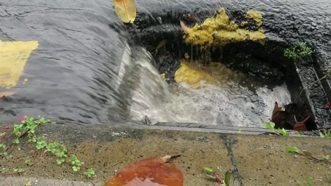 Water from heavy rain flows through a manhole into a storm drain. Stock Footage 251314463
