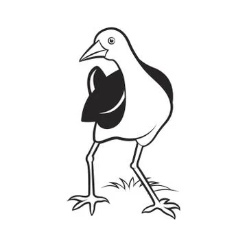 Water hen turning back Illustrazione stock