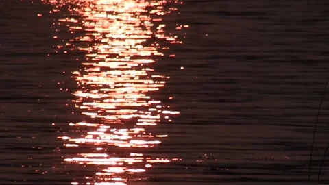 Water highlights bright on dark background left side Stock Footage 187818254