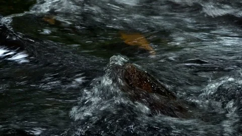 Water hitting rock- Close up 動画素材 90684996