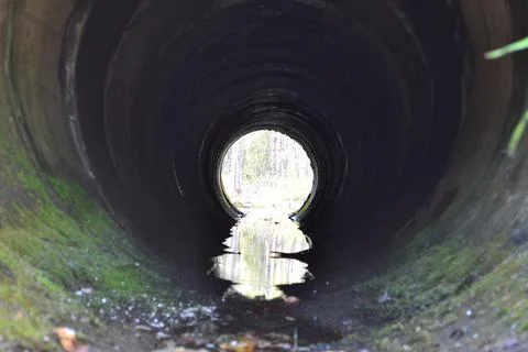 Water hole Foto stock