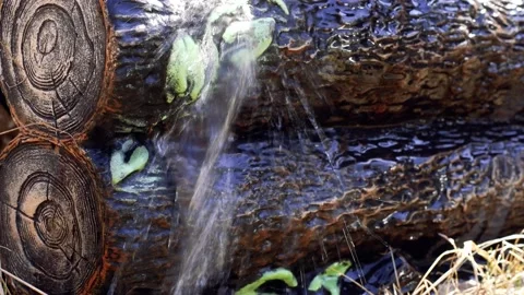 Water from a hose flows onto decorative round logs with splashing noise Stock Footage 134588461