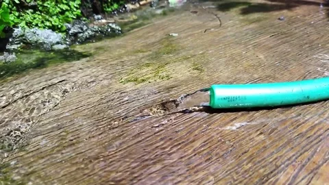 Water hose Stock Footage 166635872