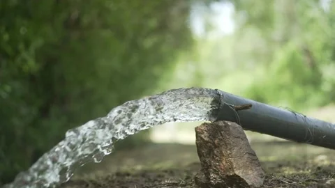 Water hose Stock Footage 237147351