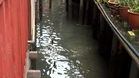 Water house 库存影片 151919840