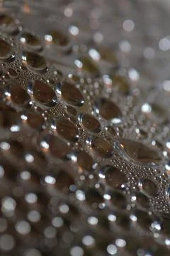 Water humidity drops bubbles macro on water colorful background liquid mome.. Stock Photos