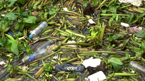 Water hyacinth with garbage in river Video stock 101728488