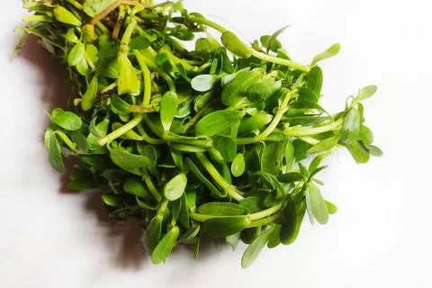 Water hyssop Stock Photos