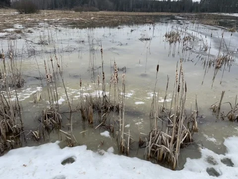 Water, ice, winter, snow Stock Footage 256105522