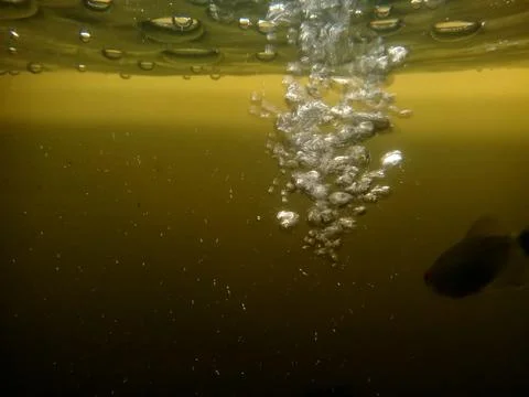 Water Image bubles Stock Photos