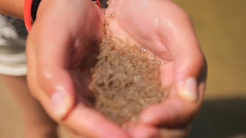 Water insect river worms at hands Stock Footage 73192044