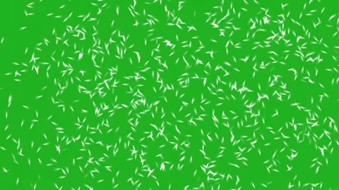 Water insects movement motion graphics with green screen background Stock Footage 234608503