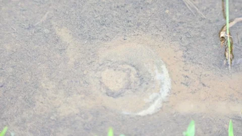 Water internal flow causes continuous bubbles to rise in the sand. Stock Footage 321817244