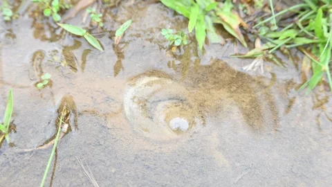 Water internal flow causes continuous bubbles to rise in the sand. Stock Footage 321817262