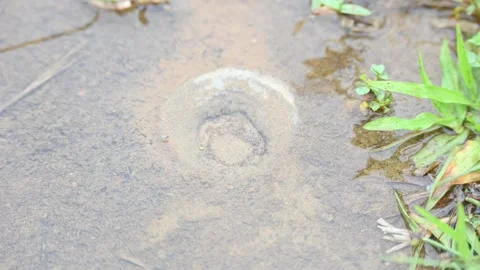 Water internal flow causes continuous bubbles to rise in the sand. Stock Footage 321817288