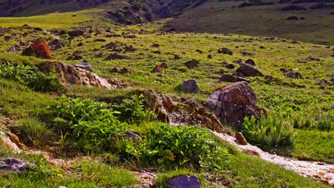 Water with iron bacteria flowing over rocks in serene mountainous landscape Stock Footage 330594737