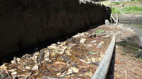 Water irrigation channel polluted Video stock 67728547