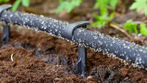 Water Irrigation Vídeo Stock 151337455