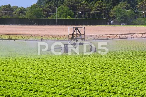 Water irrigation sprinkler Stock Photos
