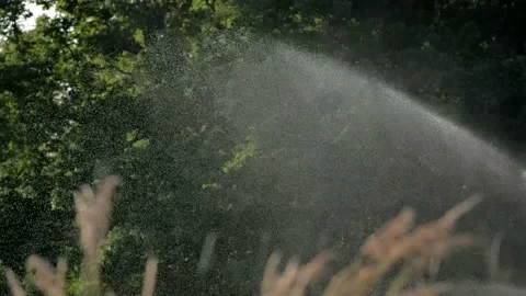 Water irrigation system. The automatic water sprinkler sprays water Stock Footage 240184756