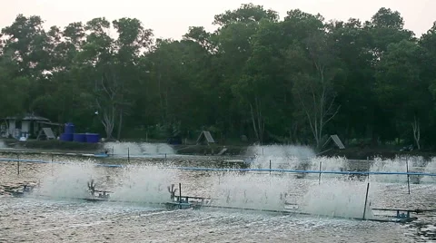 Water irrigation system of fish farm in Thailand 스톡 동영상 49752677