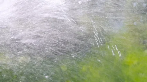 Water jet. Flying drops. Slow motion. Stock Footage 114636699