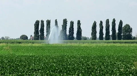 Water jet Stock Footage 64994429