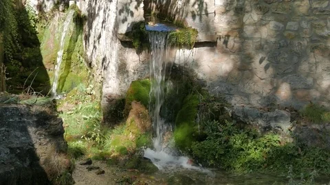 Water jet in a mountain stream Stock Footage 81537676