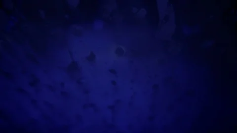 Water jet over window in colourful lights in slow motion Stock Footage 87906802