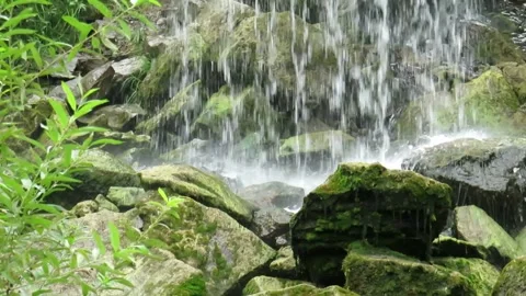 Water jets of a mountain waterfall Stock Footage 237774980
