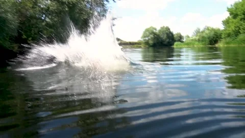 Water jump from the mountain Video stock 160659895