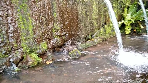 Water jumper Stock Footage 146150486