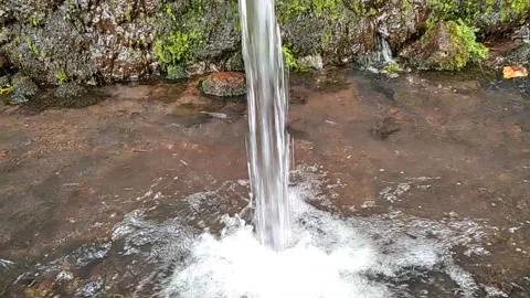 Water jumper Stock Footage 146150501