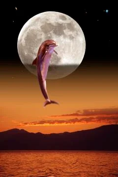Water jumping dolphin sunset composing fantasy Illustrazione stock